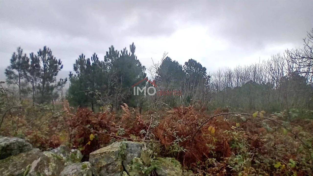 Terreno Agricola ou Rústico para Venda em Santa Maria de Marvão Foto 3