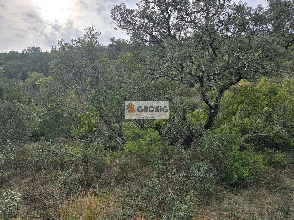 Terreno Agricola ou Rústico para Venda em São Barnabe Foto 29