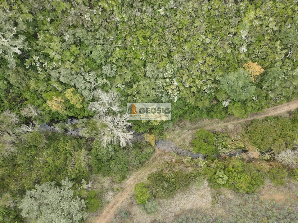 Terreno Agricola ou Rústico para Venda em São Barnabe Foto 25