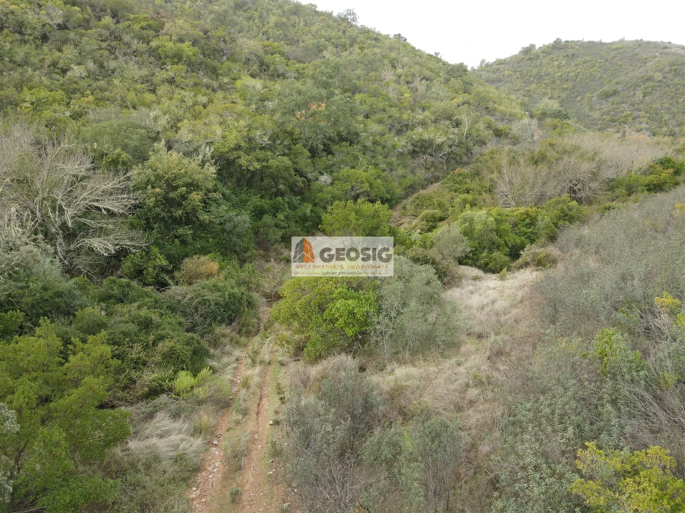 Terreno Agricola ou Rústico para Venda em São Barnabe Foto 1