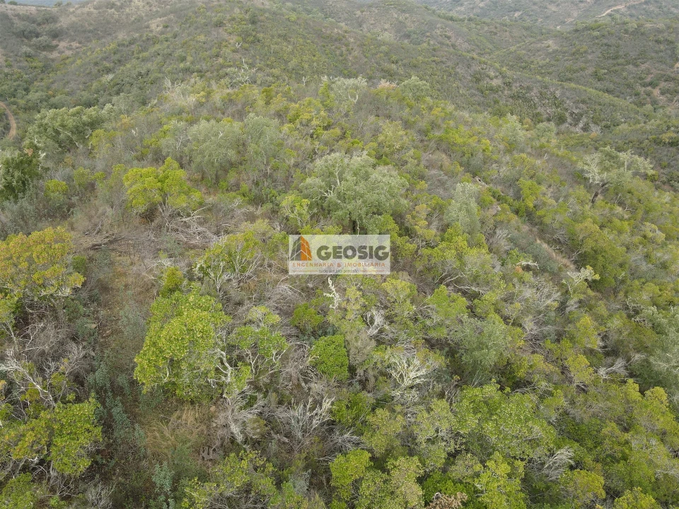 Terreno Agricola ou Rústico para Venda em São Barnabe Foto 5