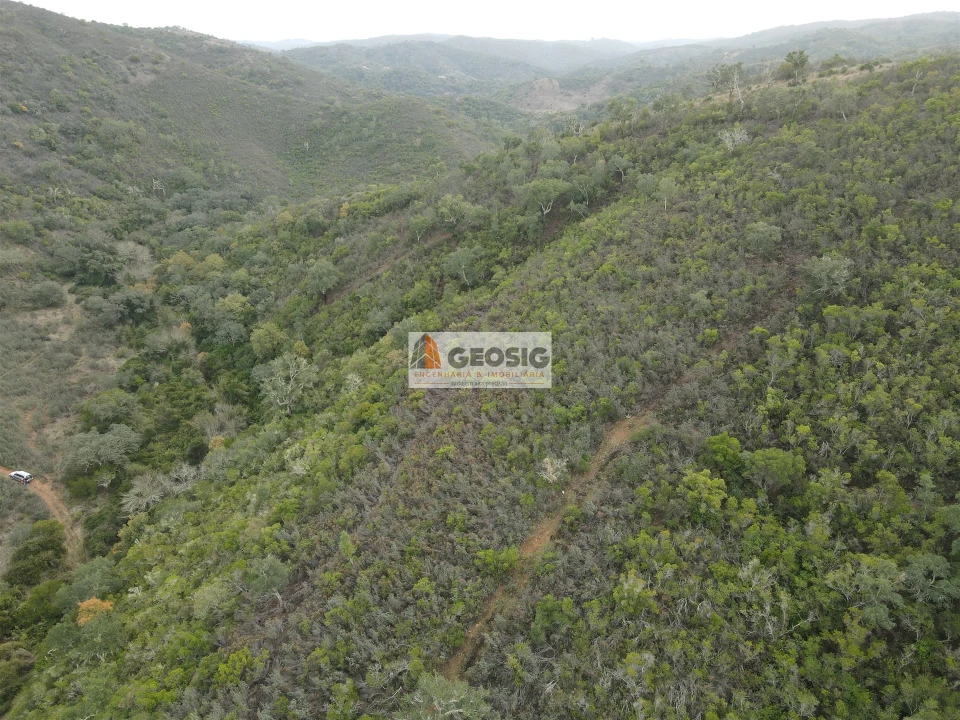 Terreno Agricola ou Rústico para Venda em São Barnabe Foto 9