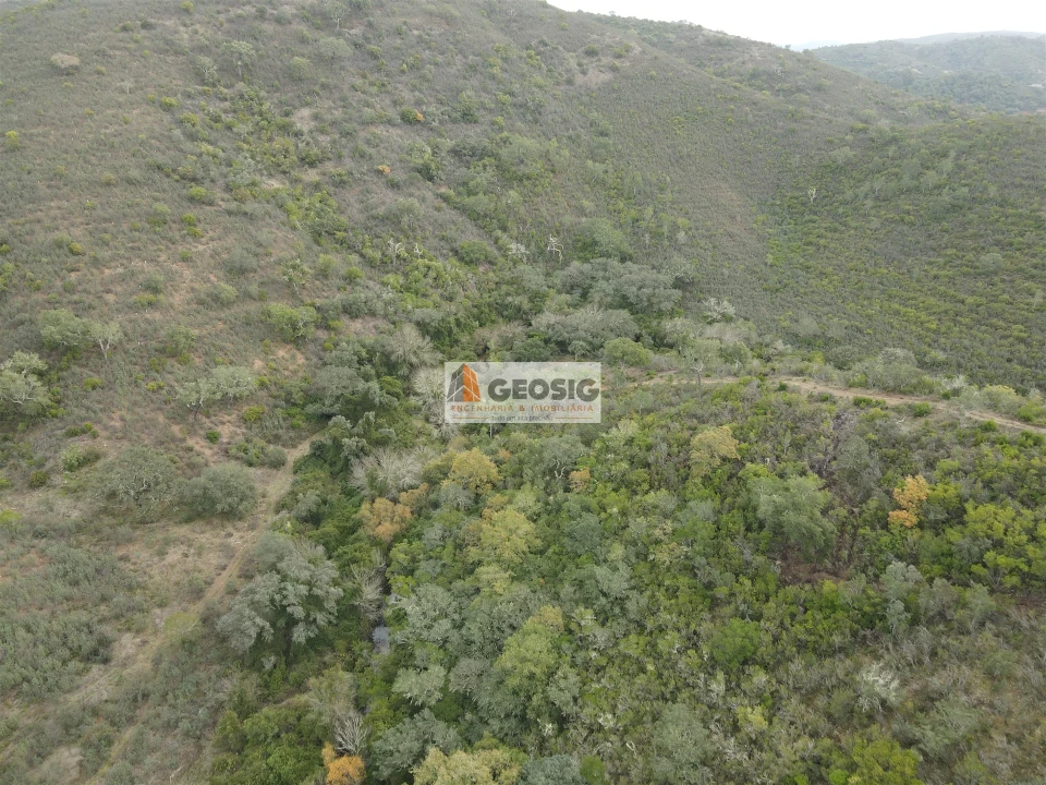 Terreno Agricola ou Rústico para Venda em São Barnabe Foto 11