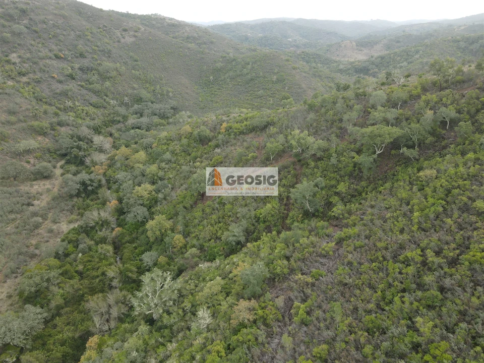 Terreno Agricola ou Rústico para Venda em São Barnabe Foto 10
