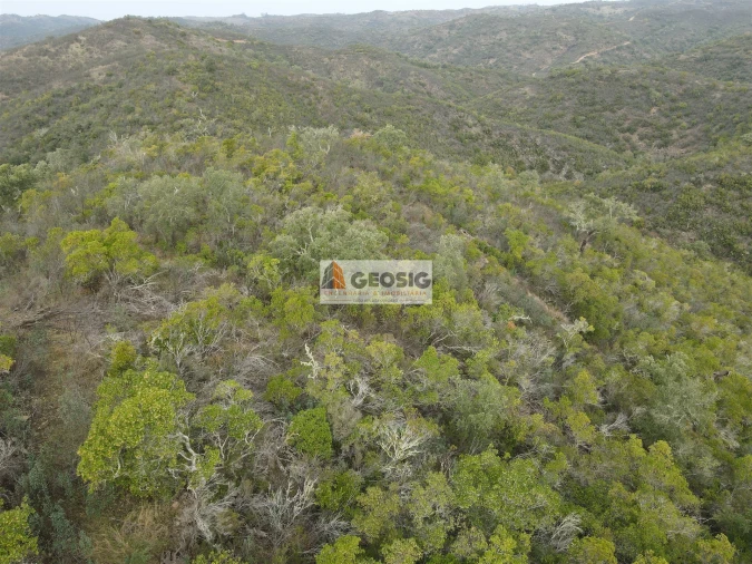 Terreno Agricola ou Rústico para Venda em São Barnabe Foto 6