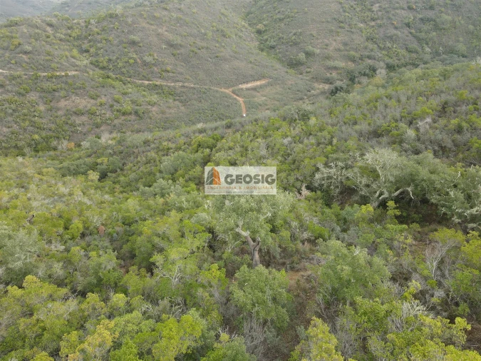 Terreno Agricola ou Rústico para Venda em São Barnabe Foto 4