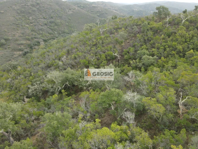 Terreno Agricola ou Rústico para Venda em São Barnabe Foto 7