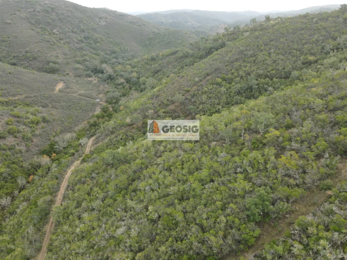 Terreno Agricola ou Rústico para Venda em São Barnabe Foto 8