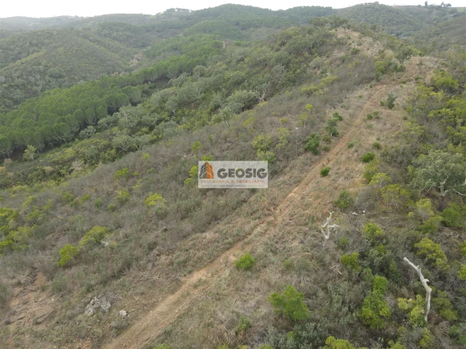 Terreno Agricola ou Rústico para Venda em São Barnabe Foto 20