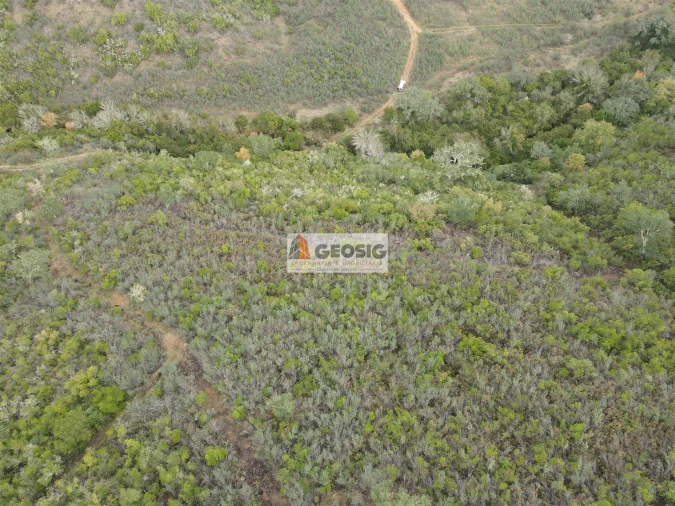 Terreno Agricola ou Rústico para Venda em São Barnabe Foto 23
