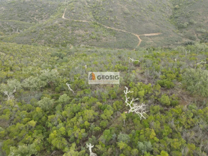 Terreno Agricola ou Rústico para Venda em São Barnabe Foto 22