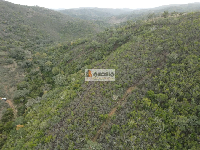 Terreno Agricola ou Rústico para Venda em São Barnabe Foto 9