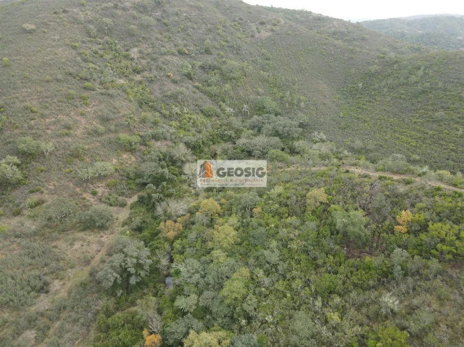 Terreno Agricola ou Rústico para Venda em São Barnabe Foto 11