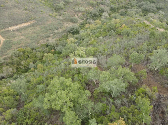 Terreno Agricola ou Rústico para Venda em São Barnabe Foto 18