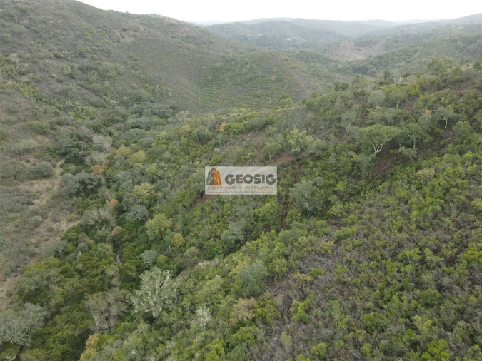 Terreno Agricola ou Rústico para Venda em São Barnabe Foto 10
