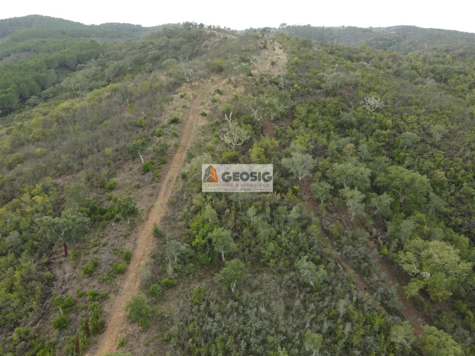 Terreno Agricola ou Rústico para Venda em São Barnabe Foto 15