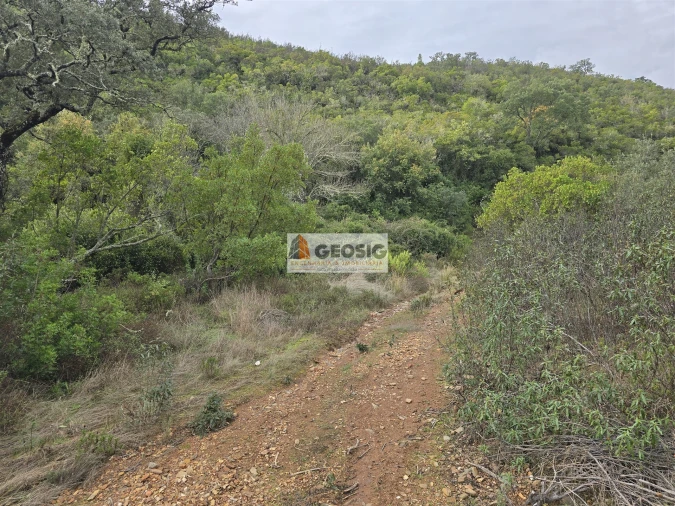 Terreno Agricola ou Rústico para Venda em São Barnabe Foto 28