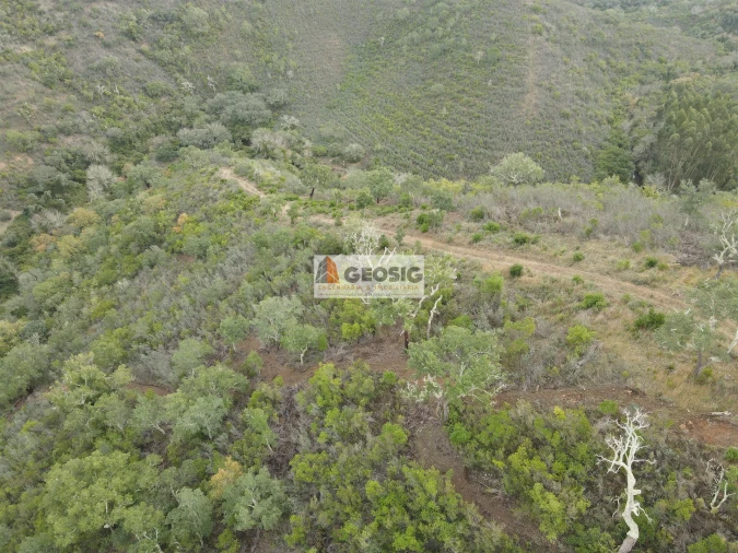 Terreno Agricola ou Rústico para Venda em São Barnabe Foto 19