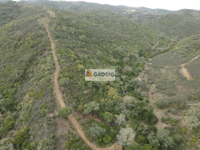Terreno Agricola ou Rústico para Venda em São Barnabe Foto 13