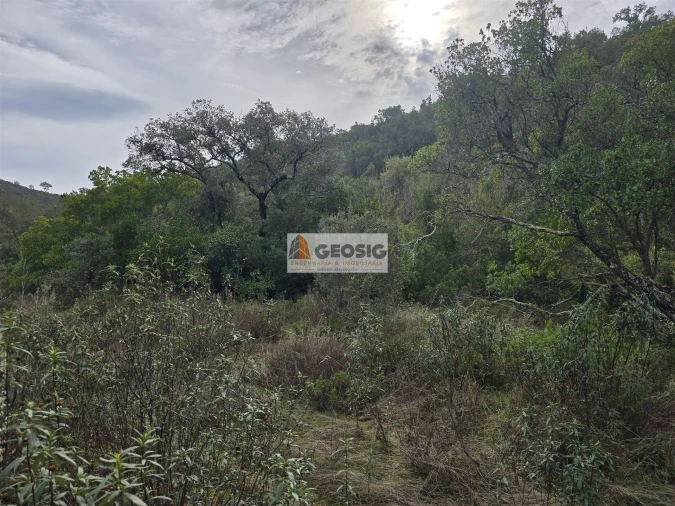 Terreno Agricola ou Rústico para Venda em São Barnabe Foto 30