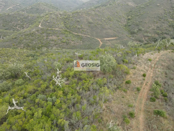 Terreno Agricola ou Rústico para Venda em São Barnabe Foto 21