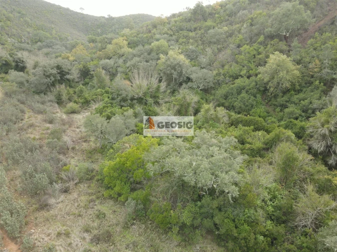 Terreno Agricola ou Rústico para Venda em São Barnabe Foto 3