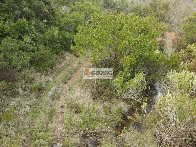 Terreno Agricola ou Rústico para Venda em São Barnabe Foto 27