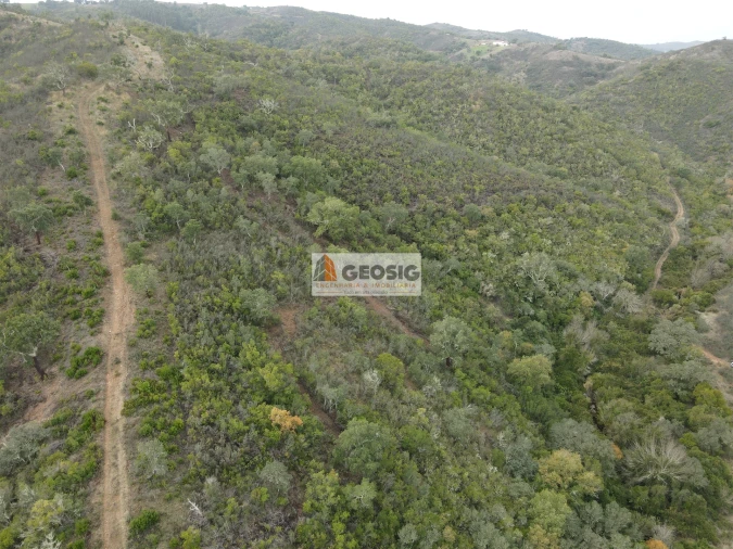 Terreno Agricola ou Rústico para Venda em São Barnabe Foto 14