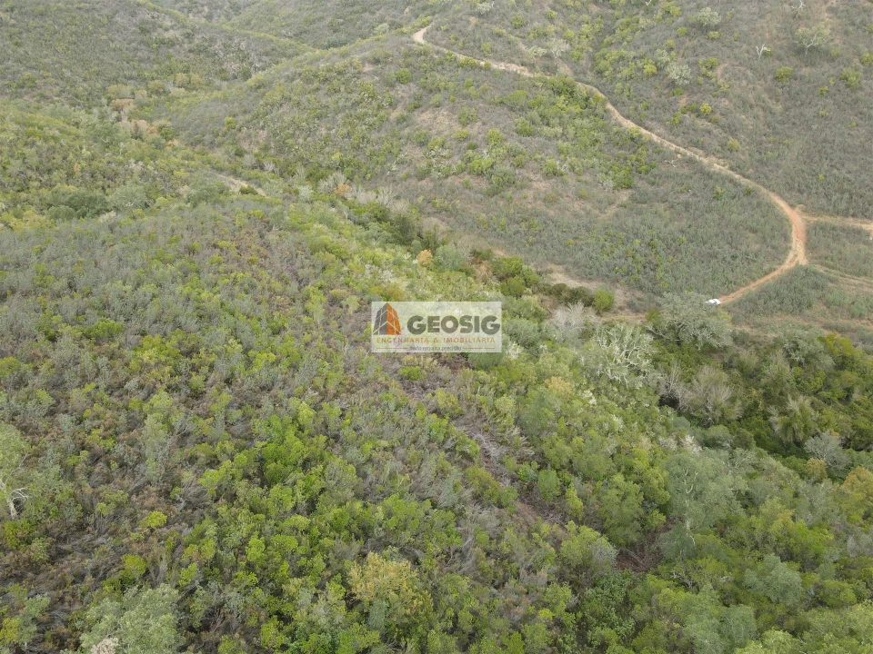 Terreno Agricola ou Rústico para Venda em São Barnabe Foto 17
