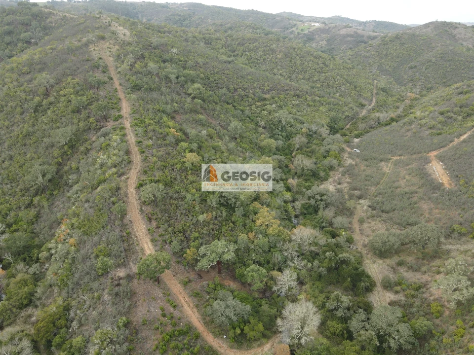 Terreno Agricola ou Rústico para Venda em São Barnabe Foto 13