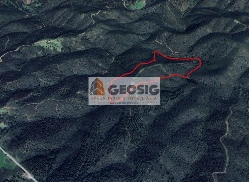 Terreno Agricola ou Rústico para Venda em São Barnabe Foto 31