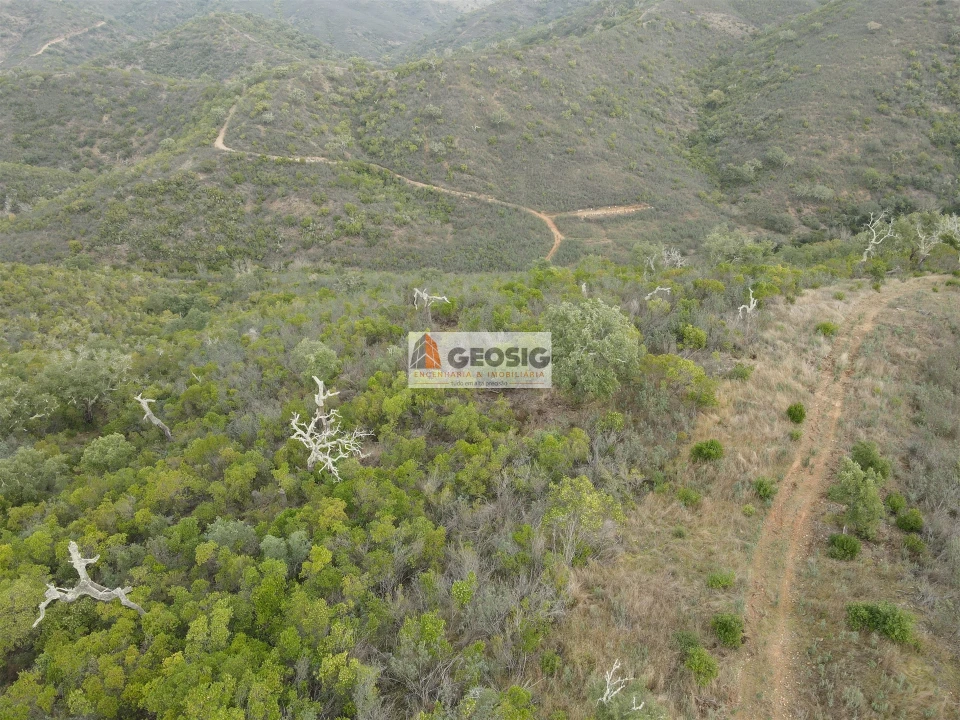 Terreno Agricola ou Rústico para Venda em São Barnabe Foto 21