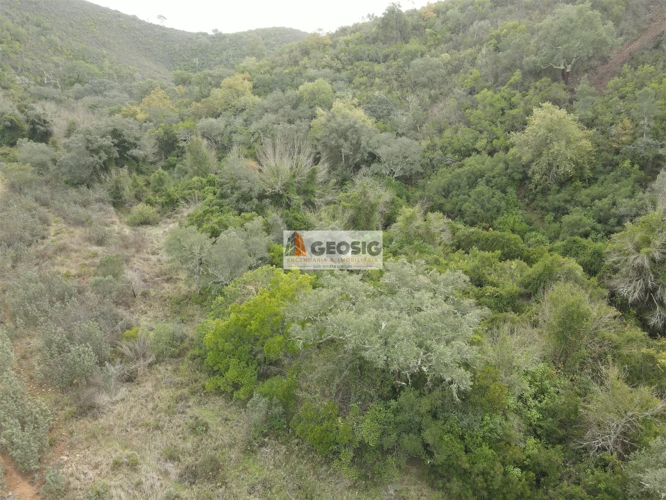 Terreno Agricola ou Rústico para Venda em São Barnabe Foto 3