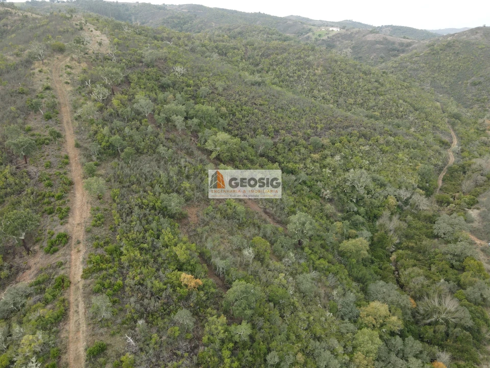 Terreno Agricola ou Rústico para Venda em São Barnabe Foto 14
