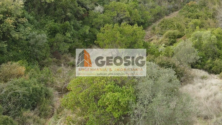 Terreno Agricola ou Rústico para Venda em São Barnabe