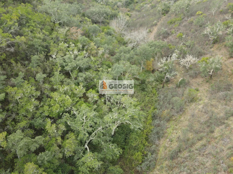 Terreno Agricola ou Rústico para Venda em São Barnabe Foto 14