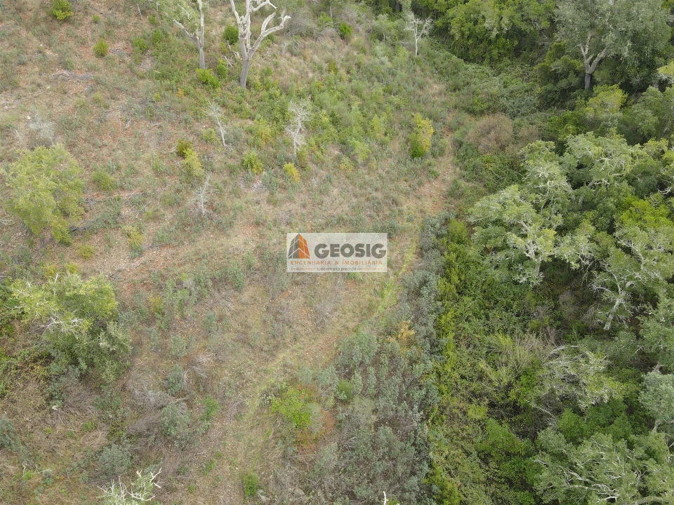 Terreno Agricola ou Rústico para Venda em São Barnabe Foto 11