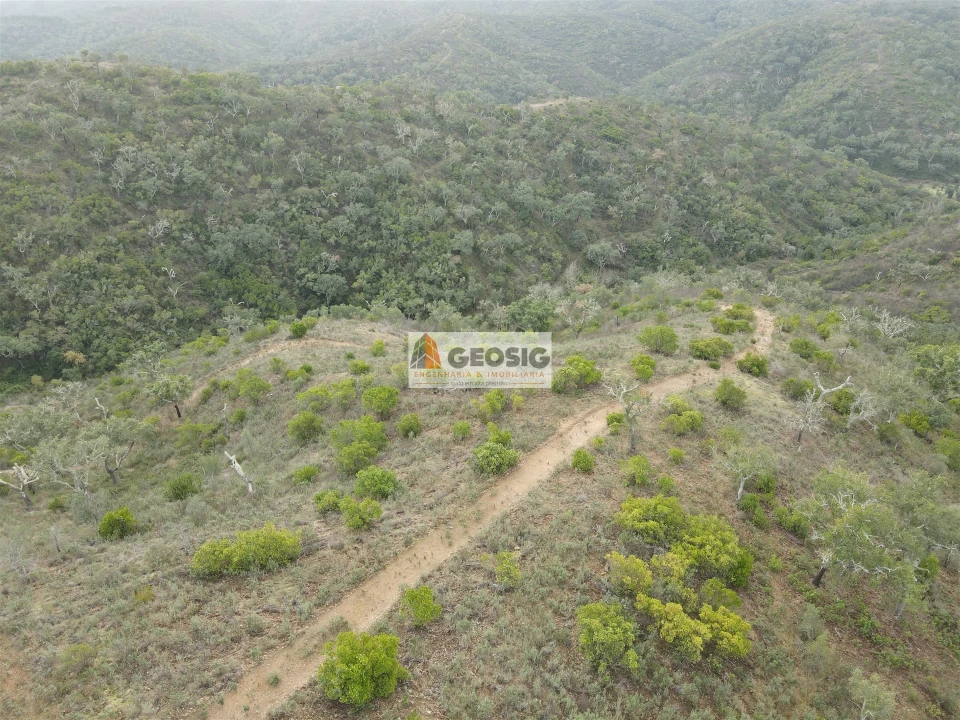 Terreno Agricola ou Rústico para Venda em São Barnabe Foto 7