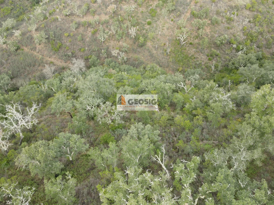 Terreno Agricola ou Rústico para Venda em São Barnabe Foto 4