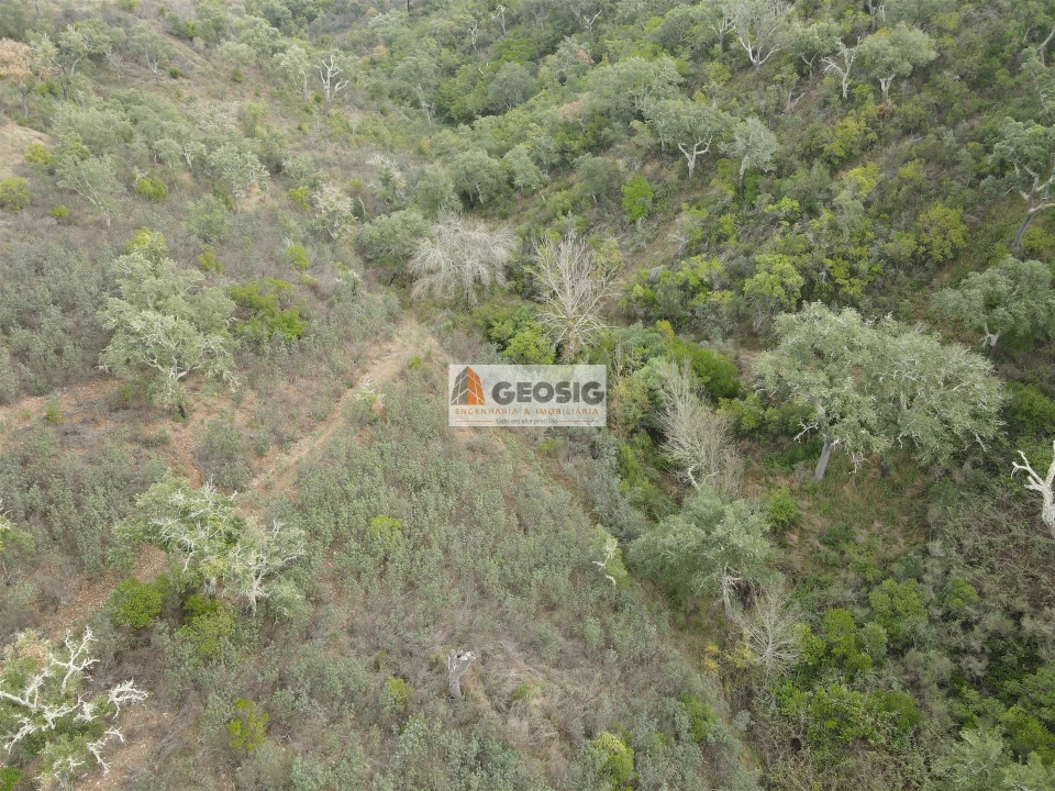 Terreno Agricola ou Rústico para Venda em São Barnabe Foto 9