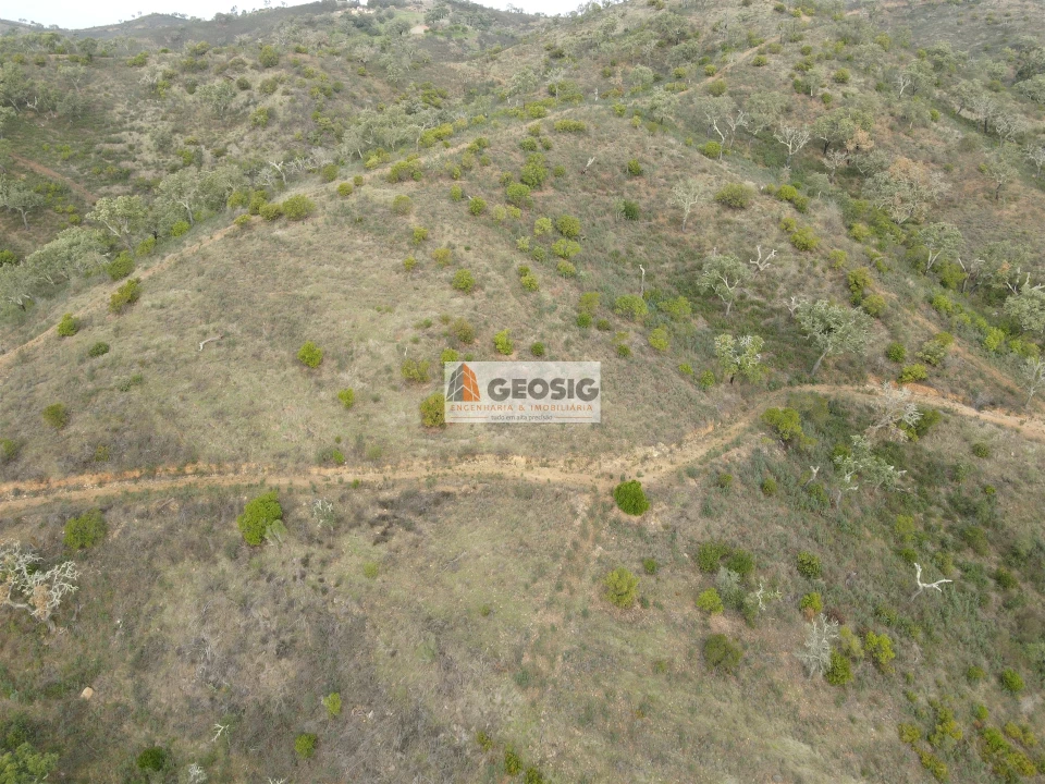 Terreno Agricola ou Rústico para Venda em São Barnabe Foto 5
