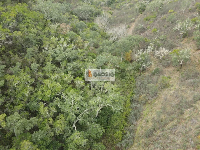 Terreno Agricola ou Rústico para Venda em São Barnabe Foto 14