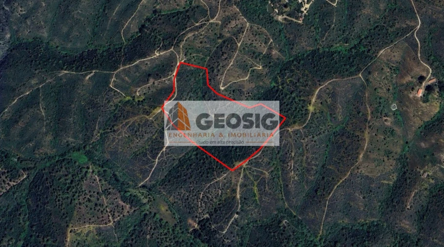 Terreno Agricola ou Rústico para Venda em São Barnabe Foto 19