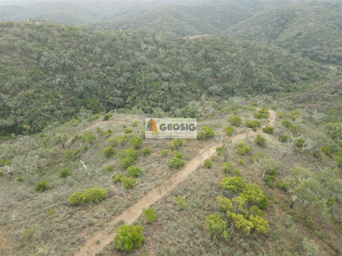 Terreno Agricola ou Rústico para Venda em São Barnabe Foto 7