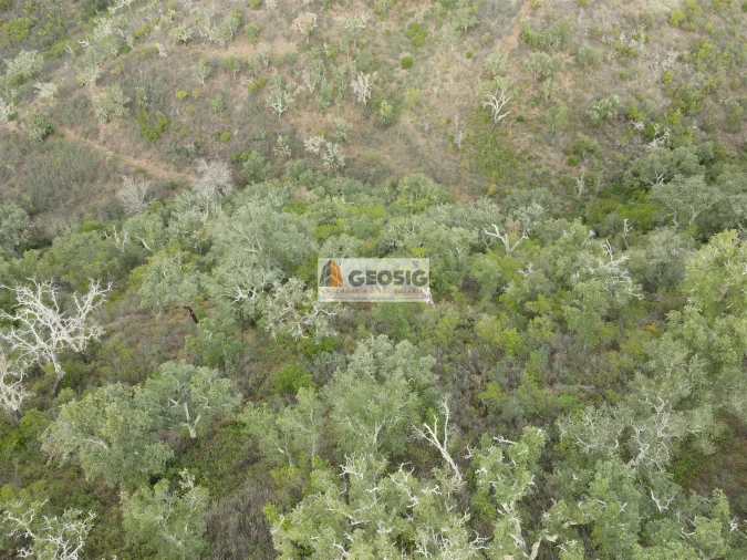 Terreno Agricola ou Rústico para Venda em São Barnabe Foto 4