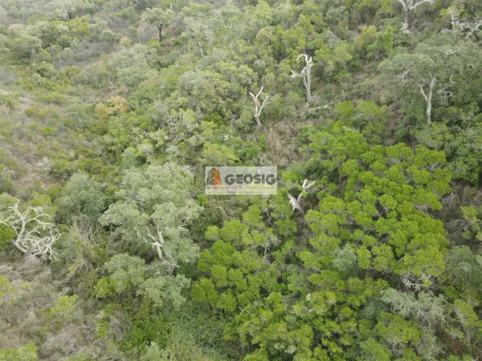 Terreno Agricola ou Rústico para Venda em São Barnabe Foto 12