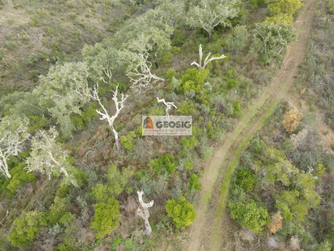 Terreno Agricola ou Rústico para Venda em São Barnabe Foto 3