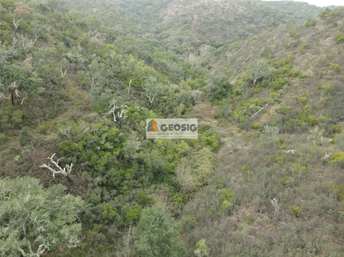 Terreno Agricola ou Rústico para Venda em São Barnabe Foto 16