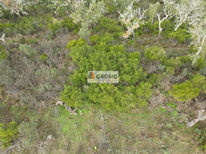 Terreno Agricola ou Rústico para Venda em São Barnabe Foto 2