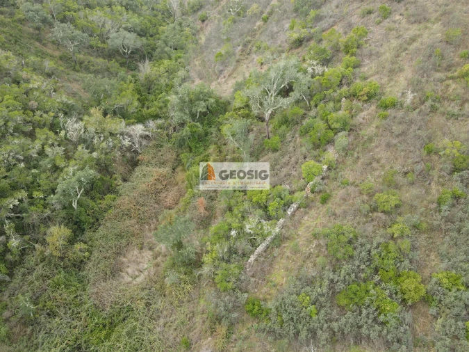 Terreno Agricola ou Rústico para Venda em São Barnabe Foto 8